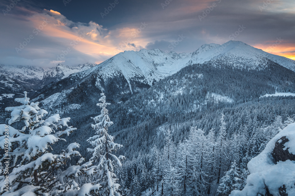 A beautiful winter morning with a view of the High Tatras. The snow created an amazing atmosphere in the photo. A beautiful winter morning with a view of the High Tatras. The snow created an amazing atmosphere in the photo.