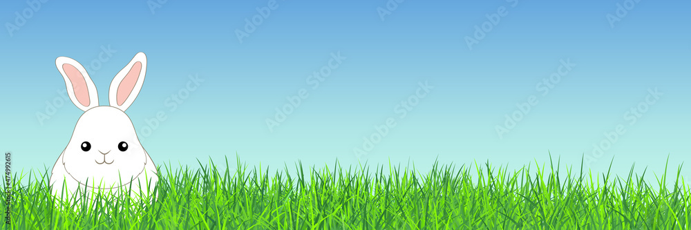 Fototapeta premium White Rabbit in the Grass. Vector Illustration with Cute Cartoon Style Bunny.