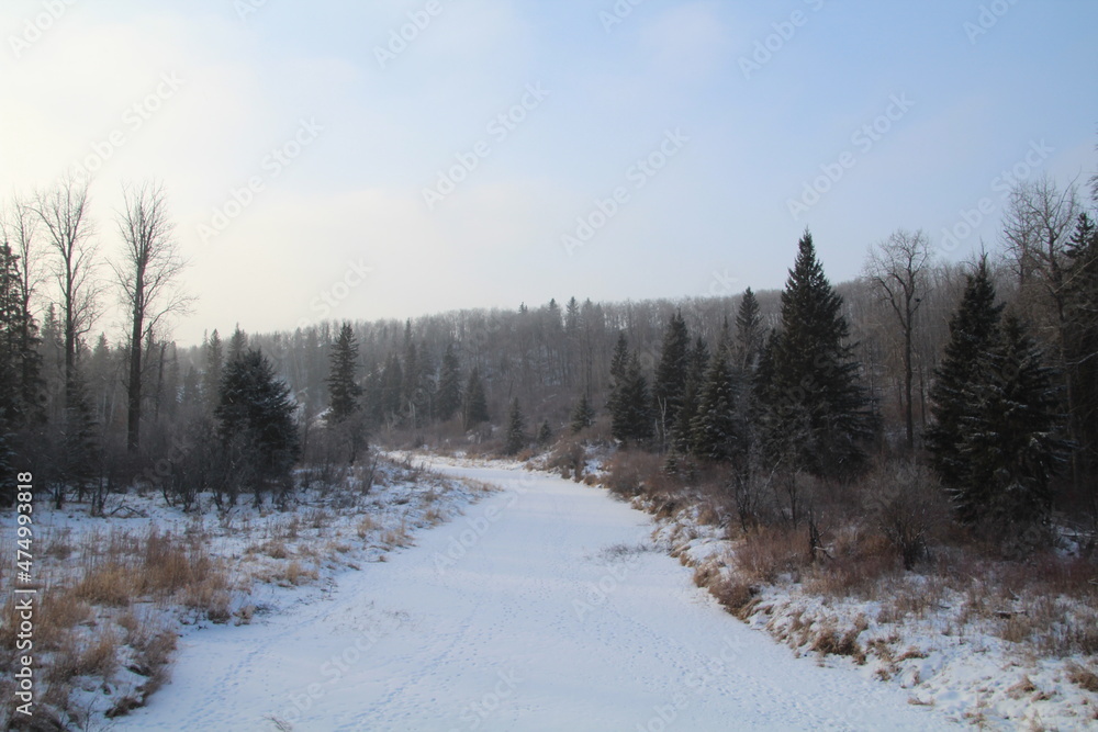 Frozen Creek, Whitemud Park, Edmonton, Alberta Frozen Creek, Whitemud Park, Edmonton, Alberta
