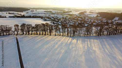 Luftaufnahme mit einer Drohne von einer Allee mit Bäumen im Sonnenuntergang im Winter 