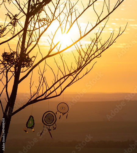 Canvastavla nascer do sol no campo