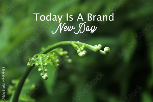 Inspirational motivational quote - Today is a brand new day. With close up of young fern leaf growth on blurry green nature background. New life and new hope concept. photo