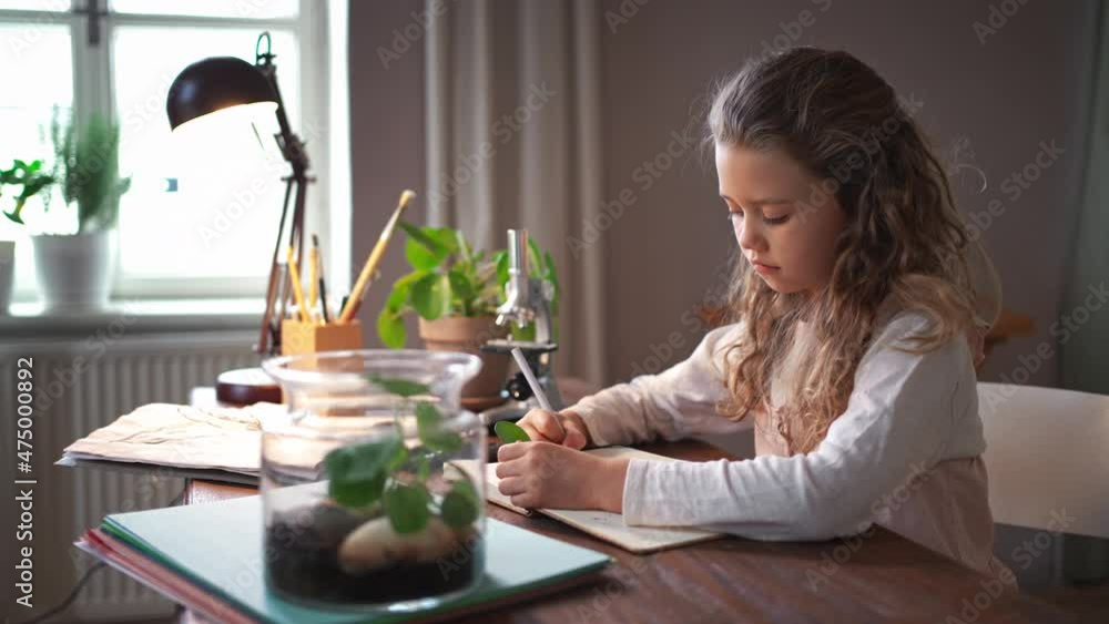 Concentrated little girl looking at camera and making a herbarium, biology project indoors at home, homeschooling. Concentrated little girl looking at camera and making a herbarium, biology project indoors at home, homeschooling.