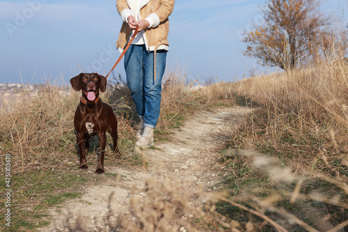 Woman with her German Shorthaired Pointer dog walking outdoors, closeup