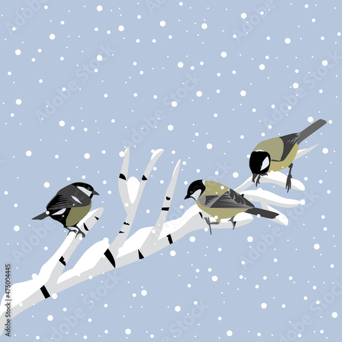 Winter background with tits on birch branch