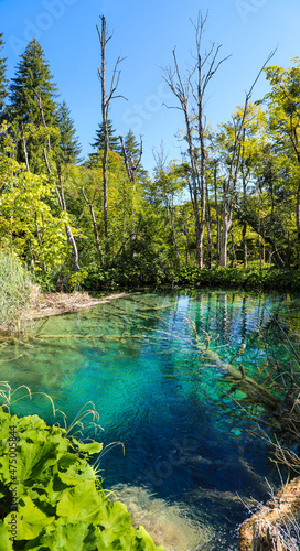Calm turquoise waters of Plitvice Lakes National Park