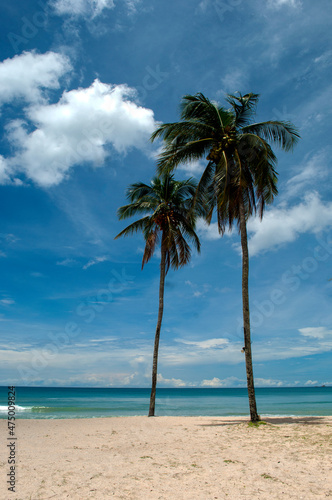 Fototapeta Naklejka Na Ścianę i Meble -  The  beautiful Laguna beach at SAii Hotel, one of famous beaches in Phuket, Thailand