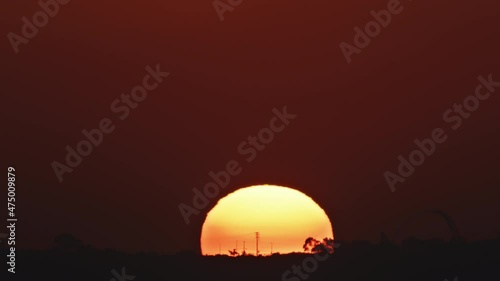 Wallpaper Mural Timelapse of huge golden sun disk going down behind the horizon line. Close up sunset footage in red orange sky sun setting under the hill with trees. Scenic sunset background, USA RED shot Torontodigital.ca