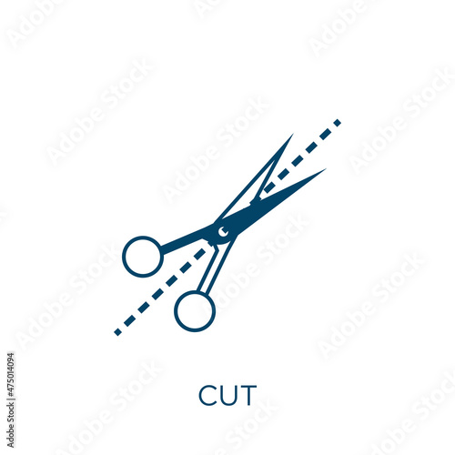 cut vector icon. business filled flat symbol for mobile concept and web design. Black log glyph icon. Isolated sign, logo illustration. Vector graphics.