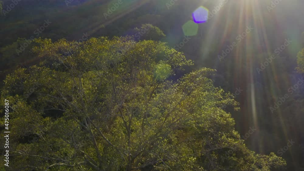 The fertile tropical rainforest has rivers running through it. North of Thailand, Aerial view. The fertile tropical rainforest has rivers running through it. North of Thailand, Aerial view.