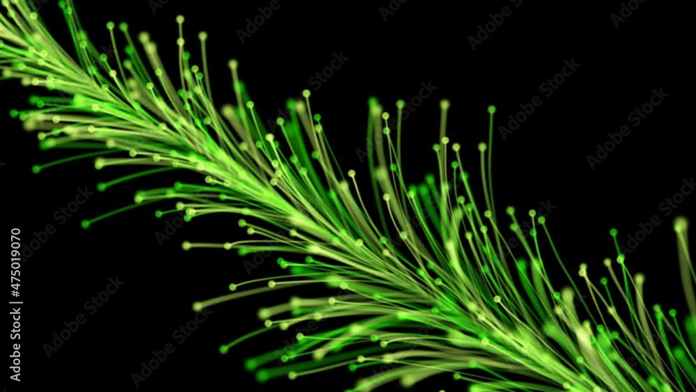 Stylish animation of a bright branch dynamically and elegantly growing on a black background. Magical fabulous vegetation. The perfect background and element of any design Stylish animation of a bright branch dynamically and elegantly growing on a black background. Magical fabulous vegetation. The perfect background and element of any design