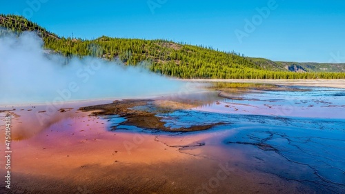 At Yellowstone National Park, ground level view of thick steam rising from the edge of Grand Prismatic Spring, surrounded by red microbial mats and forested hills in the background.