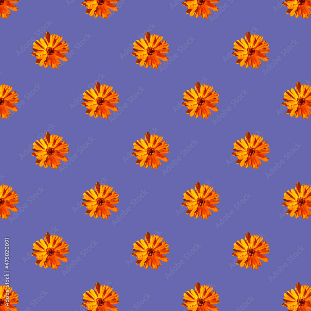 Seamless pattern of yellow flowers on a very peri background