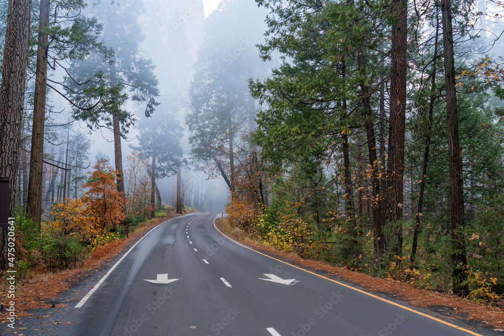 Fall Season Colors With Dense Smoke in Yosemite Park