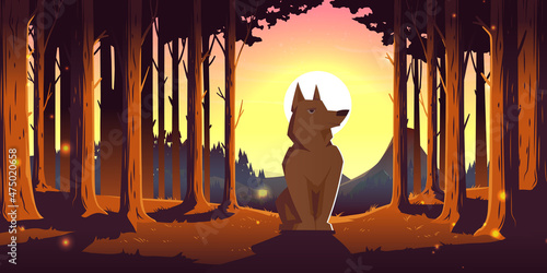 Wolf in forest, wild animal sitting in deep wood with trees around and Sun shining above mountain peaks. Wild dog with brown fur, lupus in outdoor zoo park, wildlife, Cartoon vector illustration