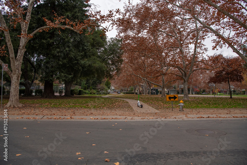 Curtis Park in Sacramento at dusk