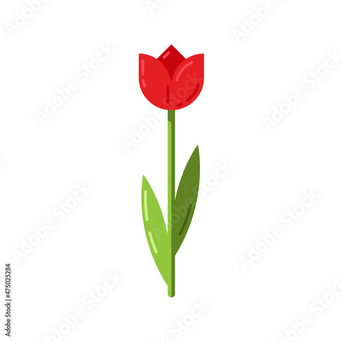 Red tulip on an isolated white background. Flower in flat design. Element for postcard, banner, flyer. Vector stock illustration