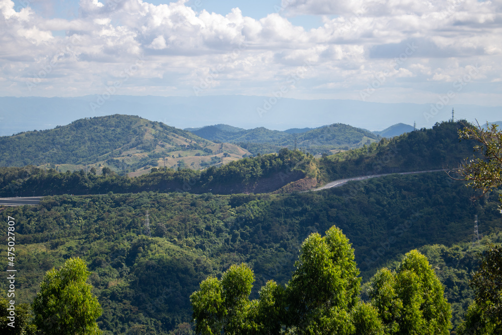 Fototapeta premium landscape with trees and clouds