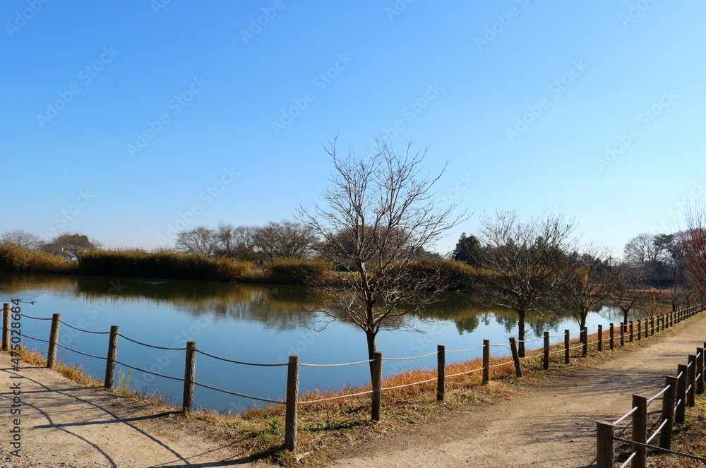 Fototapeta premium 穏やかな秋 道 風景