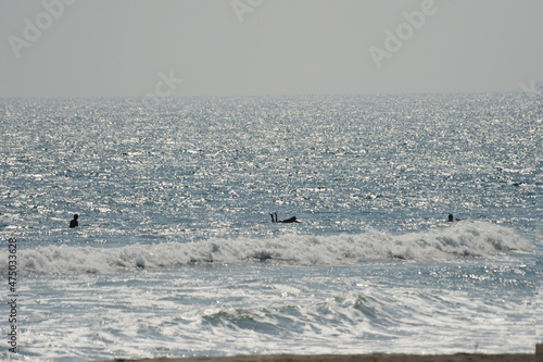 きらめく波間に漂うサーファー