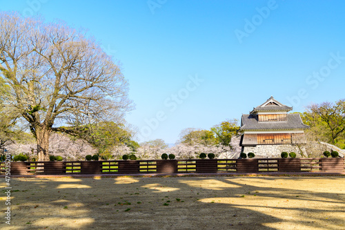 桜花咲く季節「二の丸公園から戌亥櫓と天守閣」
Season when cherry blossoms bloom 