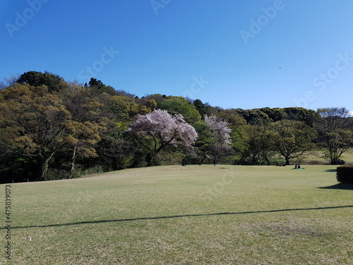 Photos form japan. Toyoko, Hiroshima, Nagasaki photo