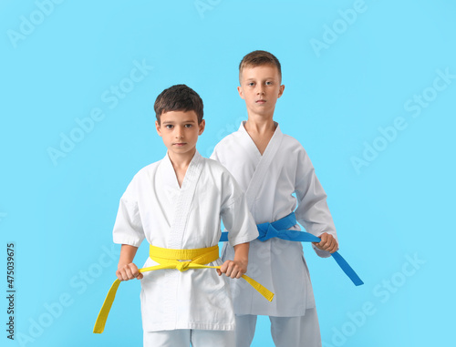 Little boys in karategi on ...
