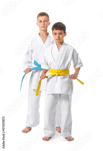 Little boys in karategi on ...