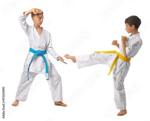 Little boys practicing kara...