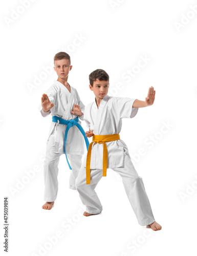 Little boys practicing kara...