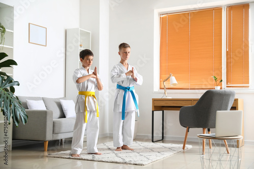 Little boys studying karate online at home