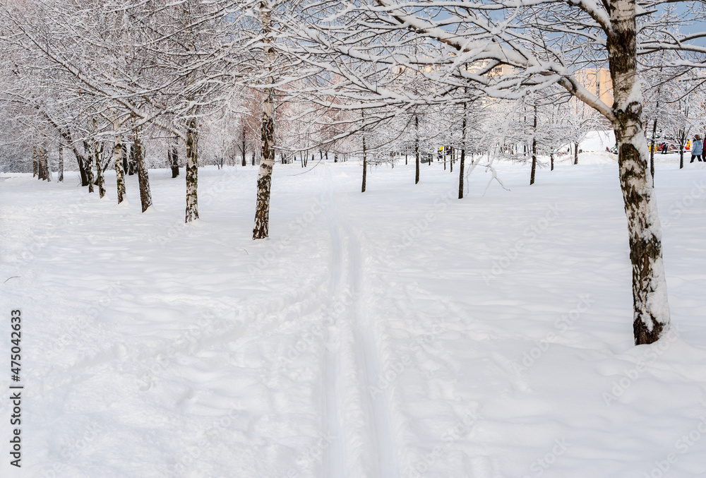 Fototapeta premium Skiing in the snow in the city park