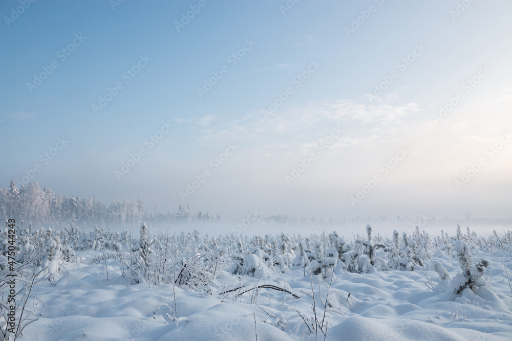 Winter landscape. In December, a rare natural phenomenon - fog descended to the ground in the cold. Fog hid the sky and the sun.