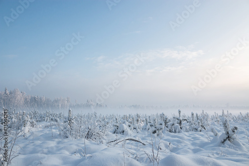 Winter landscape. In December, a rare natural phenomenon - fog descended to the ground in the cold. Fog hid the sky and the sun.
