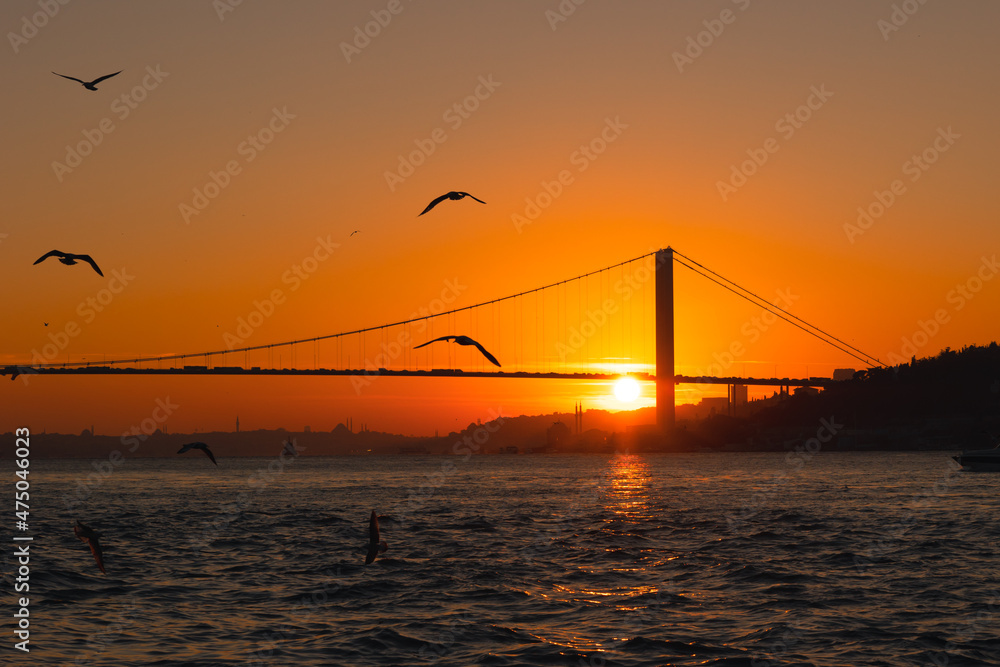 Bosphorus Bridge. Silhouette of Bosphorus Bridge and seagulls in Istanbul