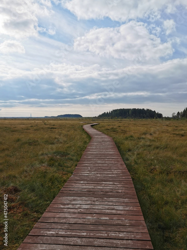 Wooden plank flooring over a swamp with yellowed grass against a beautiful sky with clouds.