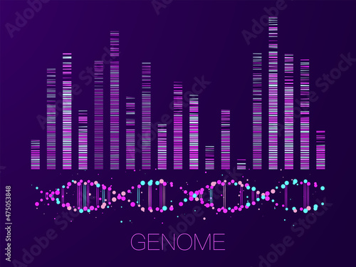 Big genomic data visualization