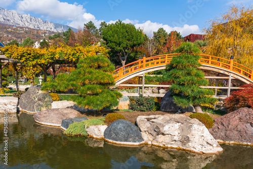 Pond and banks of stones and a yellow bridge in a Japanese-style garden against the backdrop of mountains in autumn. Pine trees and yellow vine leaves on the pergola highlight the beauty