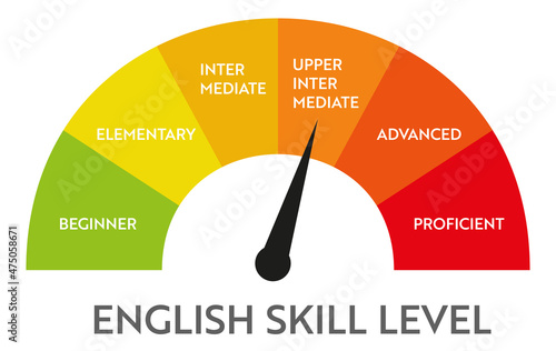 Skill level meter indicator. Business vector chat infographic. Education speedometer