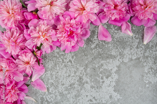 fresh peonies on grey cement background