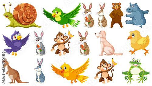 Set of various animals on white background