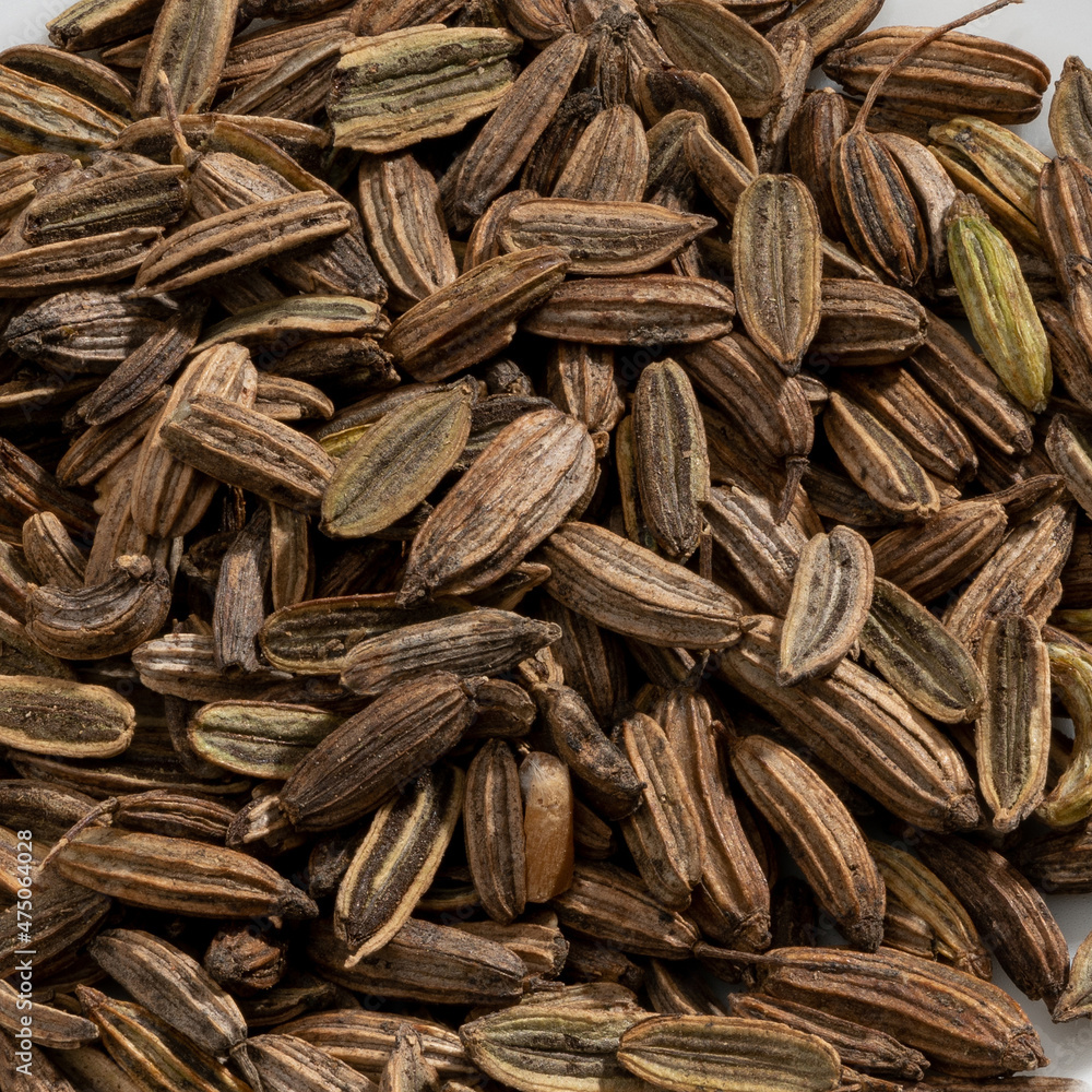 Fototapeta premium Detailed and large close up shot of fennel seeds & spice.