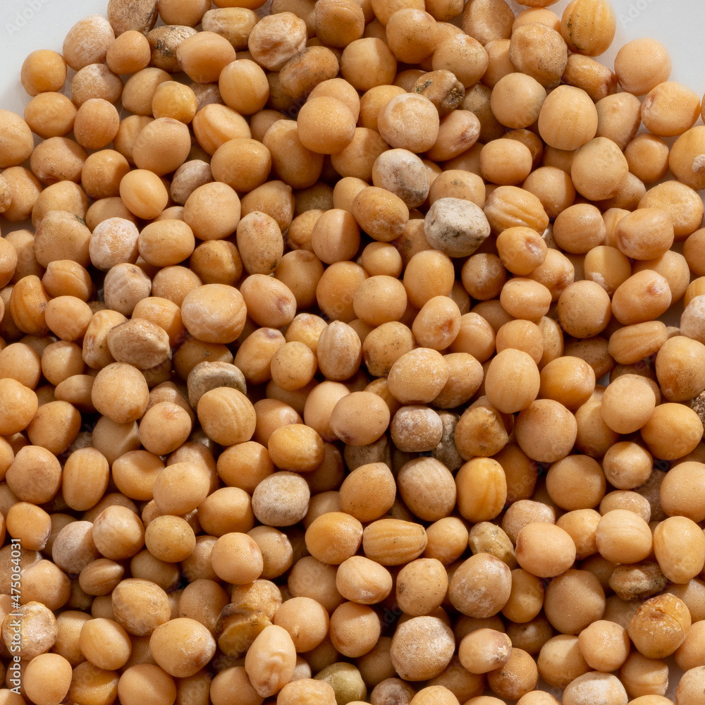 Detailed and large close up shot of mustard seeds & spice. Detailed and large close up shot of mustard seeds & spice.