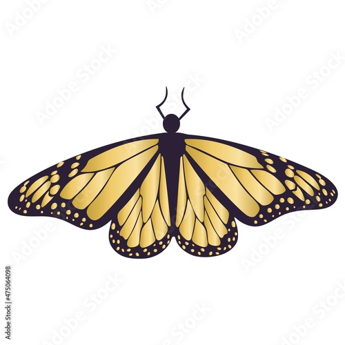 Gold butterfly isolated Fototapet
