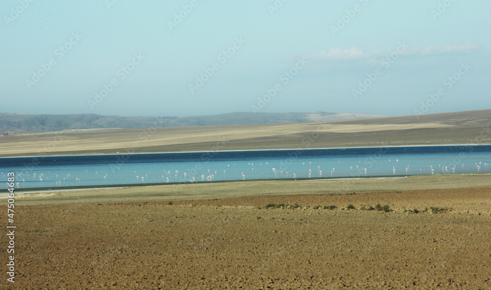 Salt Lake is located between Ankara, Konya and Aksaray. It is one of Turkey's largest cranes (flamingo) habitats. Salt Lake is located between Ankara, Konya and Aksaray. It is one of Turkey's largest cranes (flamingo) habitats.
