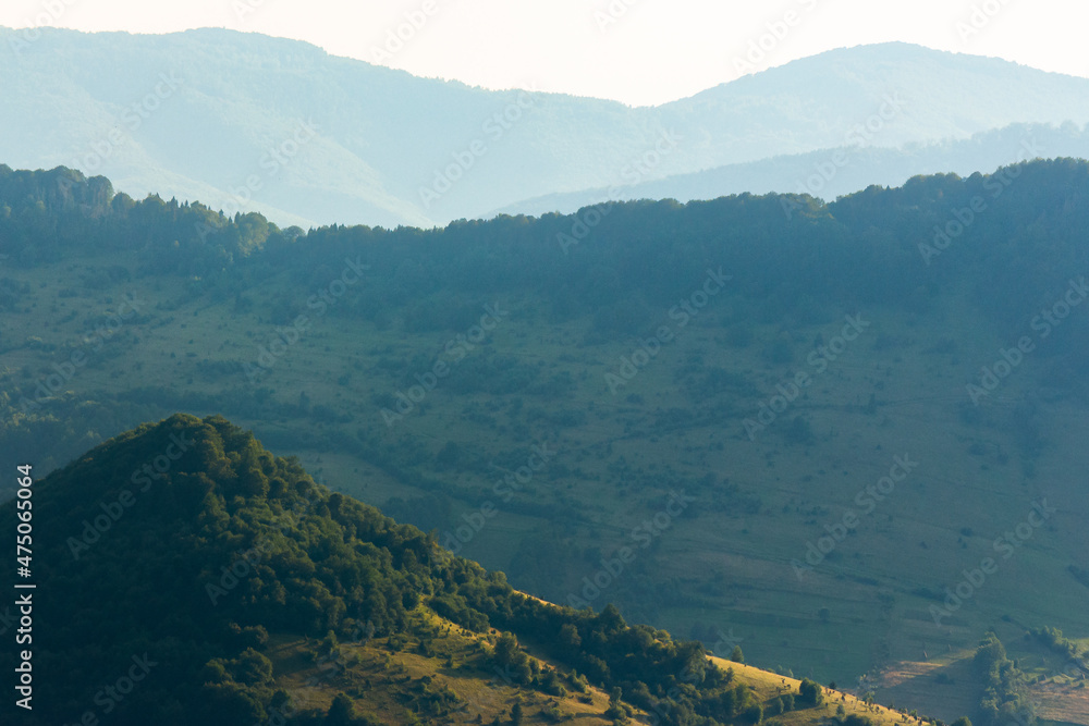 forested mountain ridge. beautiful nature scenery in summer afternoon forested mountain ridge. beautiful nature scenery in summer afternoon