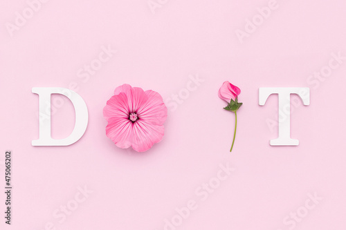 Do it. Motivational quote from white letters and beauty natural flowers on pink background. Creative concept inspirational quote of the day © IRINA