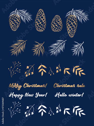 Set of hand drawn winter elements. Pine, cedar cones, twigs, flowers and leaves for winter, Merry Christmas, Happy New Year backgrounds, posters, cards. Vector.