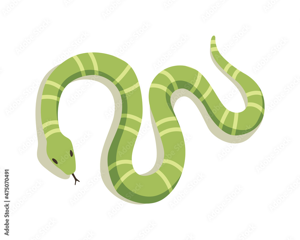 Venomous snake. Danger color animal. Poisonous reptile crawl. Decorative character, wildlife nature animal Venomous snake. Danger color animal. Poisonous reptile crawl. Decorative character, wildlife nature animal