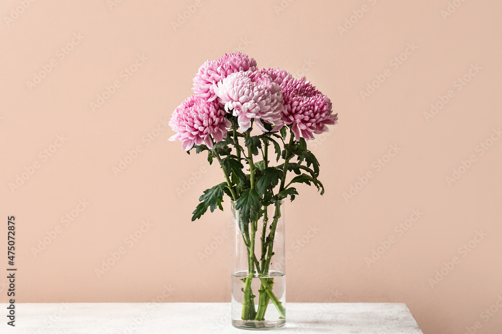 Vase with bouquet of beautiful chrysanthemum flowers on table against color background Vase with bouquet of beautiful chrysanthemum flowers on table against color background